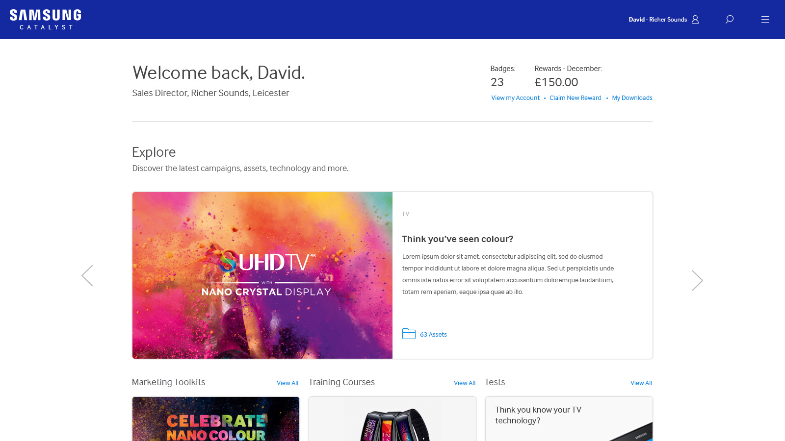 Samsung online portal design