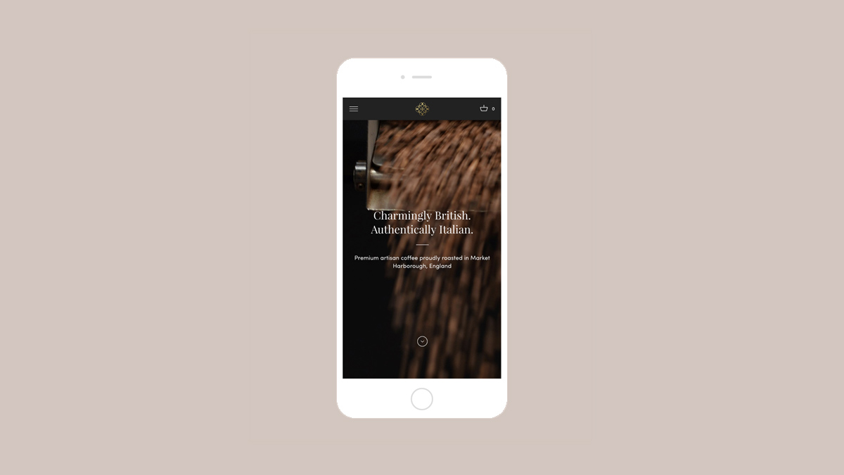 Shopify online store designer